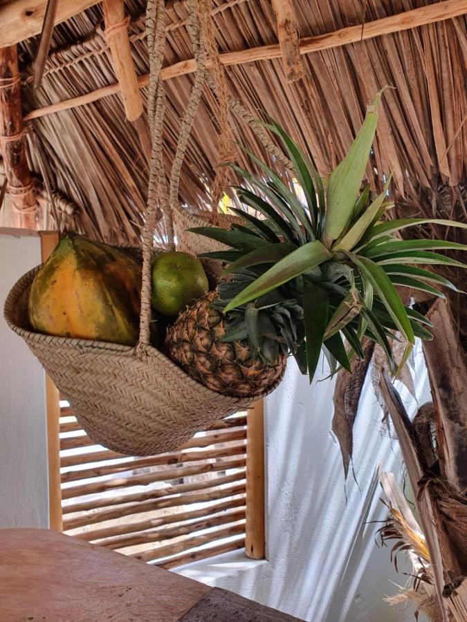 Mlango Paje Villa Ngoại thất bức ảnh