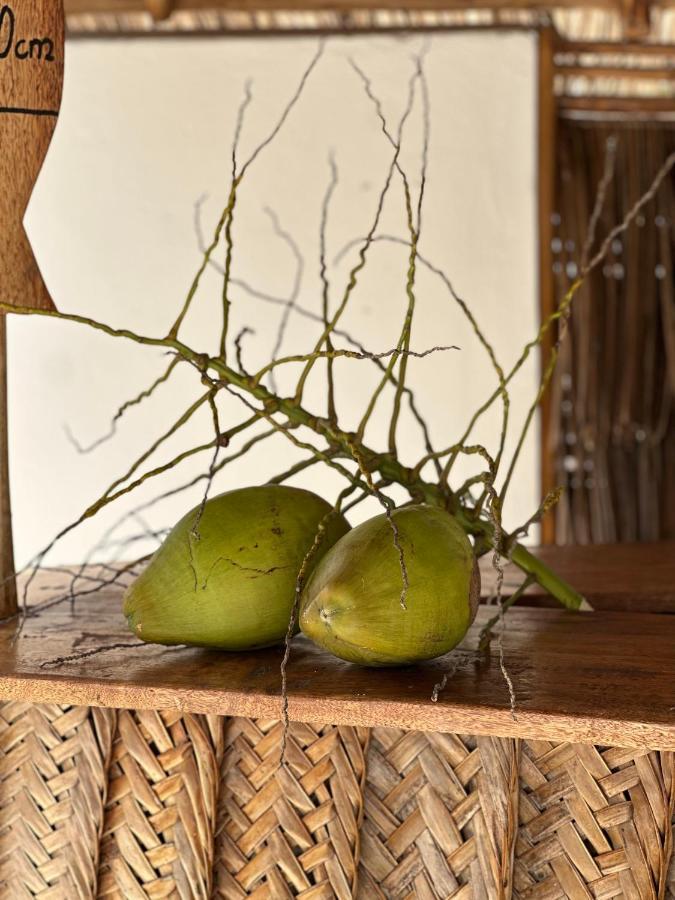 Mlango Paje Villa Ngoại thất bức ảnh